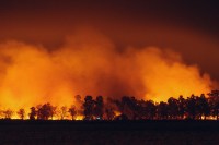 Wildfires (Photo by Fachy Marín on Unsplash)